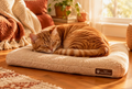 Chat roux endormi sur le tapis auto-chauffant Nidcho